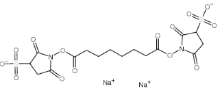cas:127634-19-9，BS3 Crosslinker disodium，ADC定制