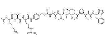 AcLys-PABC-VC-Aur0101， cas:1438851-17-2，ADC定制
