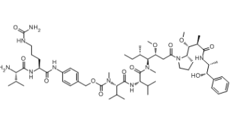 Val-Cit-PAB-MMAE，cas:644981-35-1，ADC定制