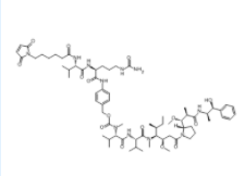 	VcMMAE  