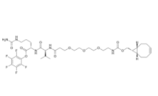 BCN-PEG3-VC-PFP ester  