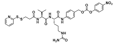 SPDP-Val-Cit-PAB-PNP