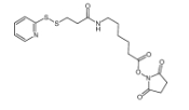 cas:158913-22-5，SPDP-C6-NHS ester，琥珀酰亚胺基6-[3-(2-吡啶基二硫代)丙酰胺基]己酸酯