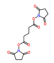 DSG Crosslinker 