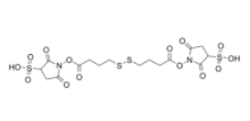 Bis-SS-C3-sulfo-NHS ester  