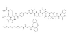 	DBCO-PEG4-Val-Cit-PAB-MMAF  