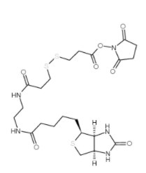 NHS-SS-(+)-Biotin  