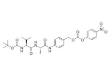 	Boc-Val-Ala-PAB-PNP 