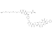 Amino-PEG4-Val-Cit-PAB-MMAE 