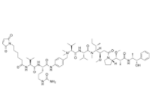 MC-Val-Cit-PAB-Auristatin E  