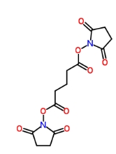 cas:79642-50-5，DSG Crosslinker，双琥珀酰亚胺戊二酸酯