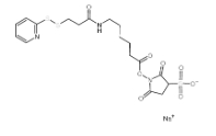  CAS:169751-10-4，Sulfo-SPDP-C6-NHS sodium，2,5-二氧代-1-[(6-{[3-(2-吡啶基二硫基)丙酰]氨基}己酰)氧基]-3-吡咯烷磺酸
