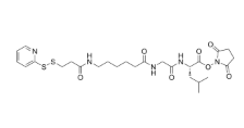 SPDP-C6-Gly-Leu-NHS ester