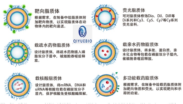 NGR(Asn-Gly-Arg)多肽修饰的主动靶向脂质体,DSPE-PEG-NGR