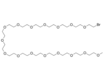 1735024332574563.png