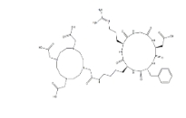 909024-55-1，DOTA-cyclo(RGDfK) acetate,大环化合物