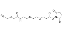 Propargyl-O-C1-amido-PEG2-C2-NHS ester，2101206-30-6，抗体- 药物偶联物