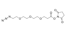N3-PEG3-C2-NHS ester，1245718-89-1，抗体- 药物偶联物