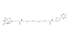 Biotin-PEG4-MeTz 