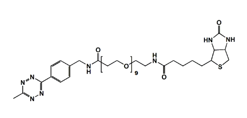 Methyltetrazine-CH2NHCO-PEG9-Biotin  
