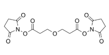 Bis-PEG1-NHS ester，65869-64-9，ADC试剂