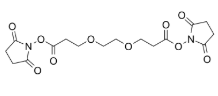 Bis-PEG2-NHS Ester，65869-63-8，抗体- 药物偶联物