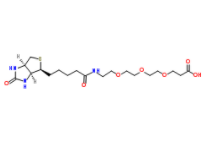 Biotin-PEG3-acid 