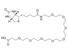 	Biotin-PEG8-acid  