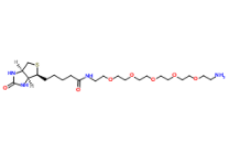 Biotin-PEG5-amine 