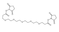 Bis-PEG5-NHS ester，双(NHS)PEG5，756526-03-1，ADC试剂