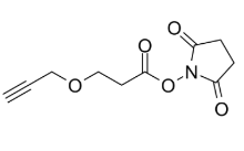 Propargyl-PEG1-NHS ester，1174157-65-3 ，抗体- 药物偶联物