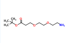 NH2-PEG2-C2-Boc  