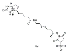 NHS-SS-biotin，122266-55-1，抗体- 药物偶联物