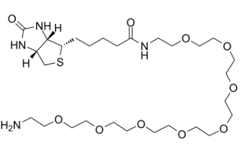 (+)-Biotin-PEG8-CH2CH2NH2，生物素八聚乙二醇氨基