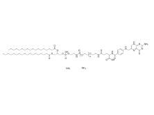1236288-25-7，DSPE-PEG2000-Folate，二硬脂酰磷脂酰乙酰胺-聚乙二醇2000-叶酸