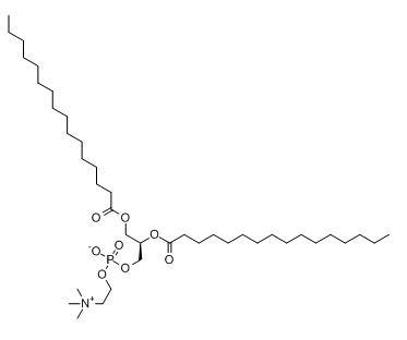 Colfosceril palmitate  