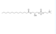 1-肉豆蔻-sn-甘油-3-磷酸膽堿	  