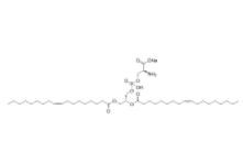 1,2-二油酰基-sn-甘油-3-磷酸-L-絲氨酸(鈉鹽)	  