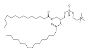 69525-80-0，1-Myristoyl-2-palmitoyl-sn-glycero-3-phosphocholine