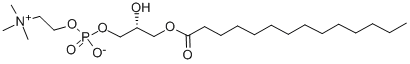  M-lysoPC