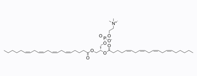 1,2-Dibehenoyl-sn-glycero-3-phosphocholine，DBPC，存在于细胞膜中的磷脂