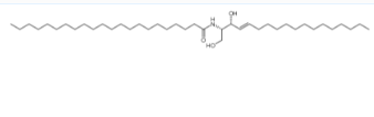 C22神经酰胺，C22-Ceramide
