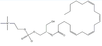 2-Arachidonoyl-sn-glycero-3-phosphocholine，2-花生四烯酸-sn-甘油-3-磷酸胆碱