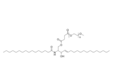 C16 PEG2 CERAMIDE  