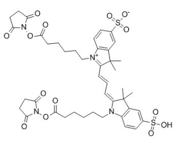 Cy3 DiSE(DiSO3)，146397-20-8，齐岳生物