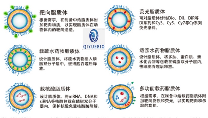 微信截图_20241224101109.png