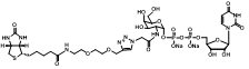 UDP-2-Biotinyl-GalNAc，UDP-2-生物素-GalNAc