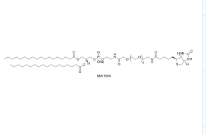 385437-57-0，DSPE-PEG(2000) Biotin，二硬酯酰乙醇胺-聚乙二醇2000-生物素