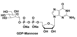 GDP-Mannose GDP-Man CAS：103301-73-1