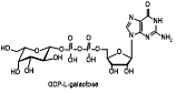 鸟苷二磷酸-L-半乳糖 GDP-L-galactose 